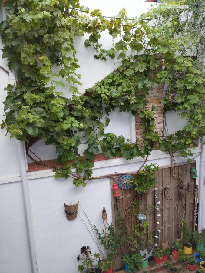 Apartamento Eg17 Arcos de la Frontera Εξωτερικό φωτογραφία
